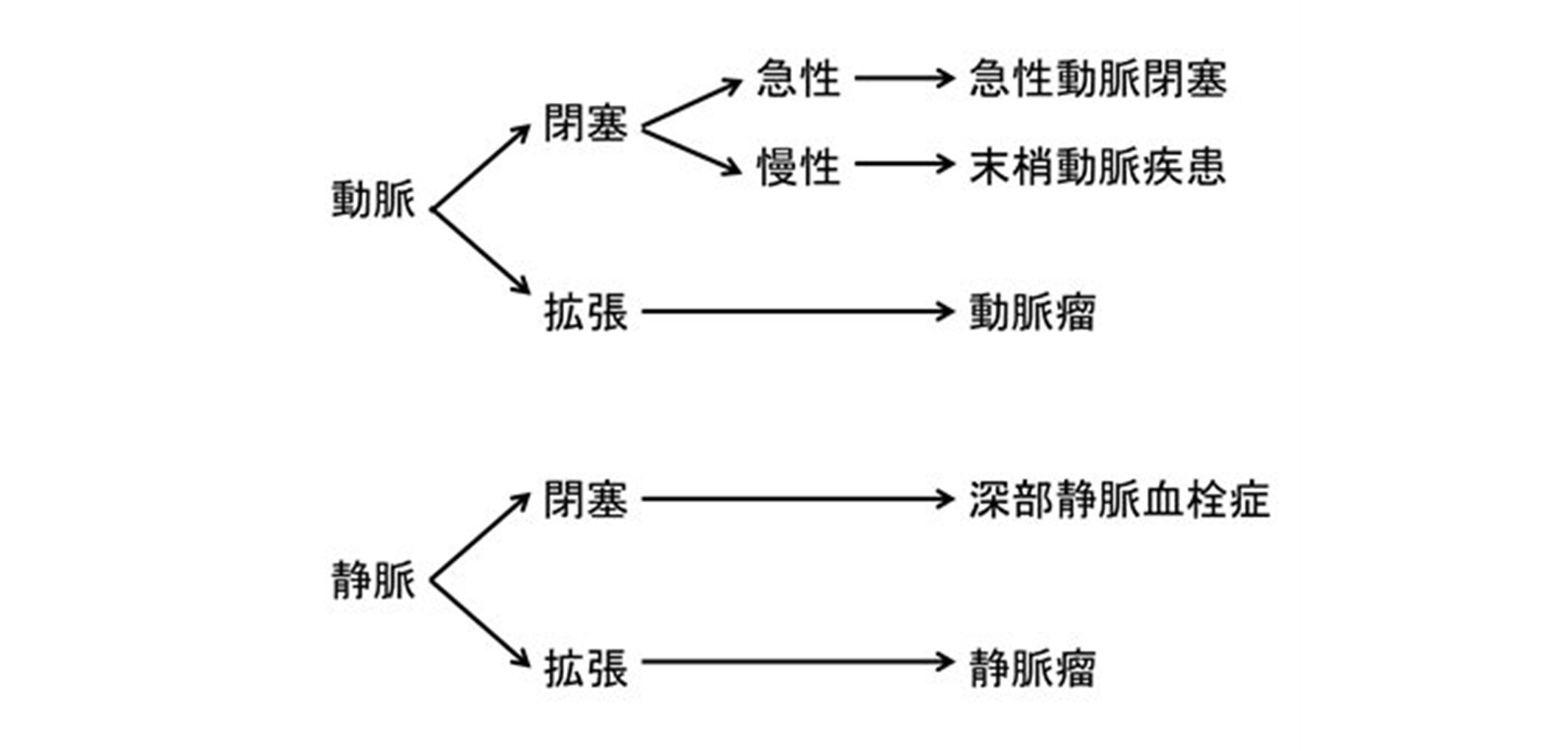 動脈 疾患 末梢