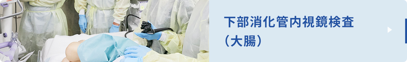 下部消化管内視鏡検査とは大腸（結腸と直腸）と小腸の一部を指し、肛門から内視鏡を挿入します。