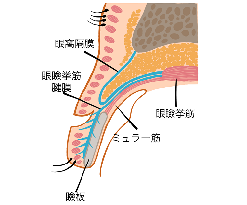 図1