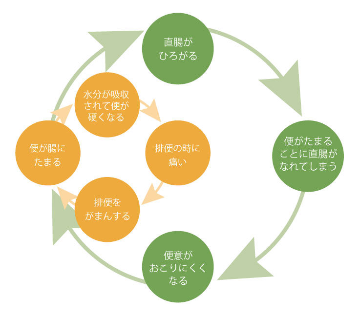 日本小児栄養消化器肝臓学会 「こどもの便秘ー正しい知識で正しい治療をー(詳細版)」より
