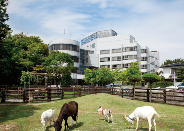 現在のアウン内動物園